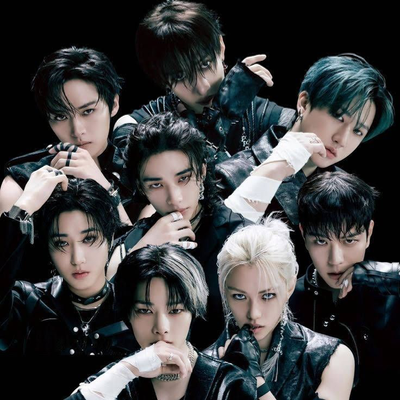 Chat with Celebrity AI Character: Stray kids