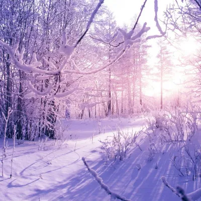 Chat with Land of Snow., the  character AI chatbot