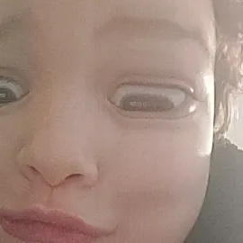 Chat with Angry Birds, the Anime character AI chatbot