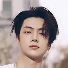 Chat with Jay [enhypen], the  character AI chatbot