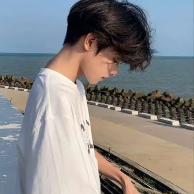 Chat with Tung, the  character AI chatbot