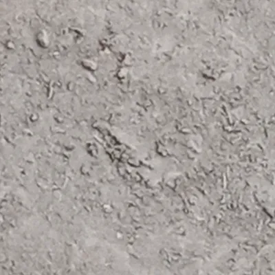 Chat with ........, the  character AI chatbot