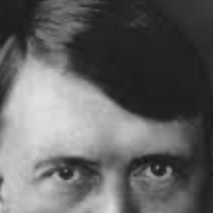 Chat with Adolf Hitler, the Anime character AI chatbot