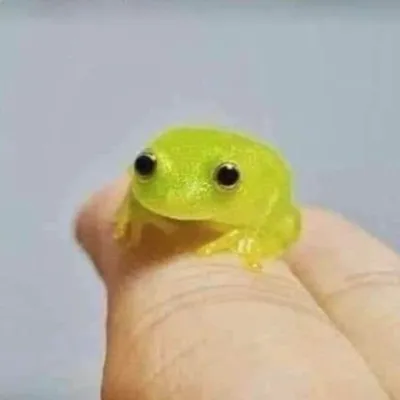 Chat with Toothless, the Friends character AI chatbot