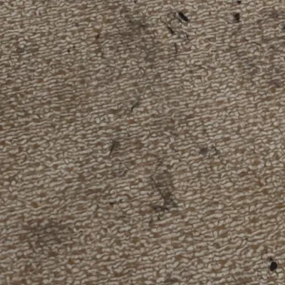 Chat with Monika, the  character AI chatbot