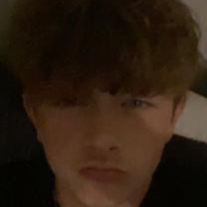 Chat with Jax, the  character AI chatbot