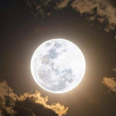 Chat with School RP, the Celebrity character AI chatbot