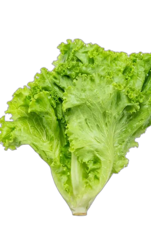 Chat with salad, the Interactive story character AI chatbot