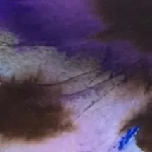 Chat with Leon, the Anime character AI chatbot