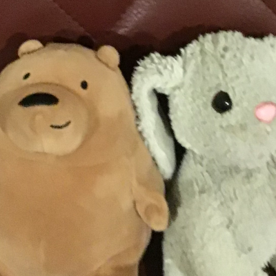 Chat with Snowie, the  character AI chatbot