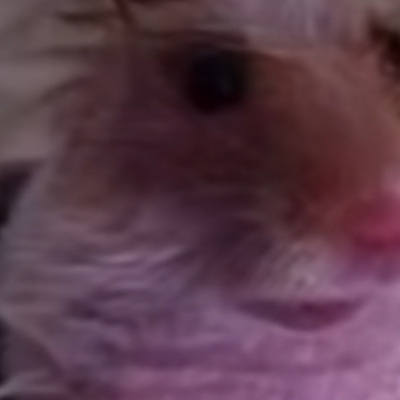 Chat with joe, the OC character AI chatbot