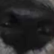 Chat with Romantic Advice, the Anime character AI chatbot