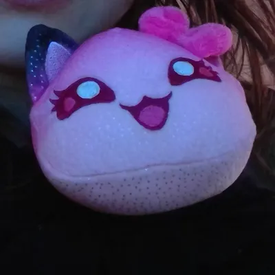 KC Cat_avatar