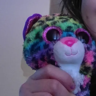 The Rainbow Cat_avatar