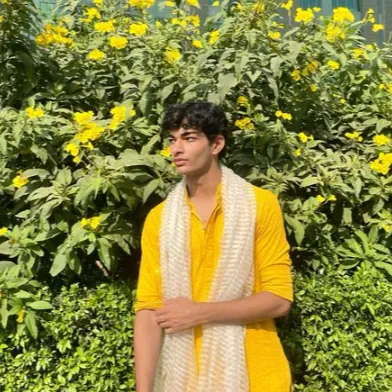 Chat with Aarav, the  character AI chatbot