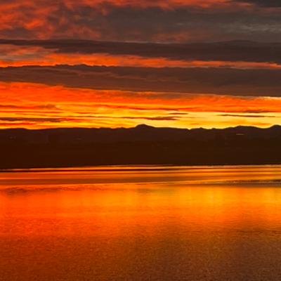 Chat with MHA field trip, the Anime character AI chatbot