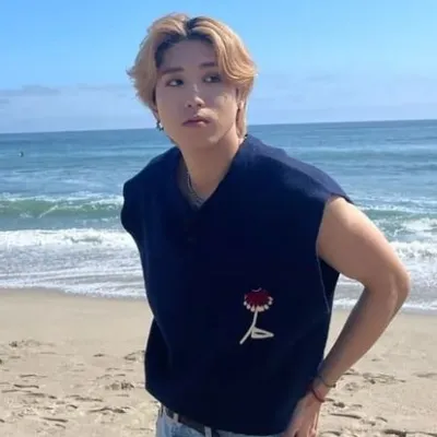 Chat with Han Jisung, the  character AI chatbot