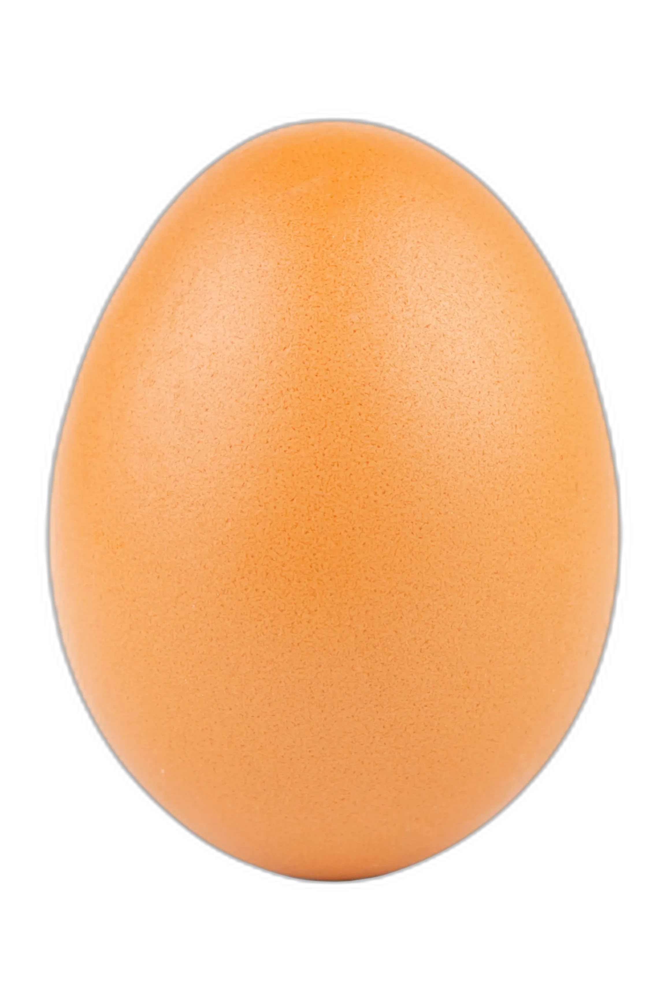 Chat with huevo, the  character AI chatbot