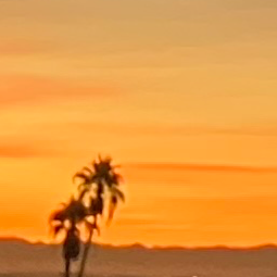 Chat with Sebastian, the  character AI chatbot