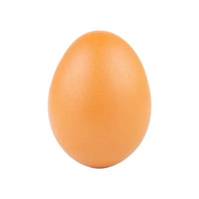 Chat with Egg, the Anime character AI chatbot