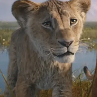 Chat with Taka, the  character AI chatbot