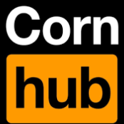 Chat with Pornhub simulator, the  character AI chatbot