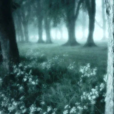 Chat with Ночной лес, the  character AI chatbot