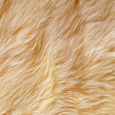 Chat with Abigail, the Friends character AI chatbot