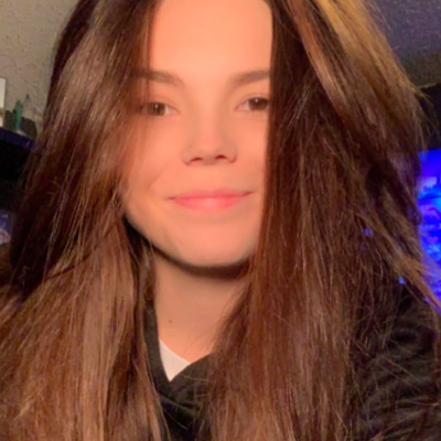 Chat with Sierra, the  character AI chatbot