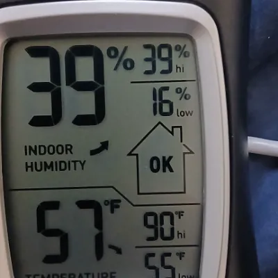 Chat with Teacher sits on student's face, the Anime character AI chatbot