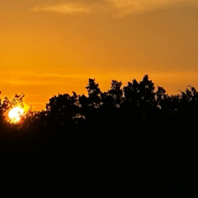 Chat with Michael Afton, the  character AI chatbot