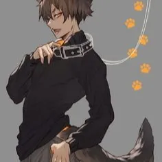 Chat with Liam, the  character AI chatbot