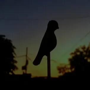 Chat with Truth indicator, the  character AI chatbot