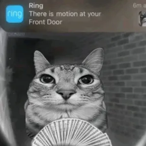 Chat with kat, the  character AI chatbot