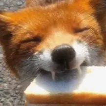 Chat with sεx world, the OC character AI chatbot