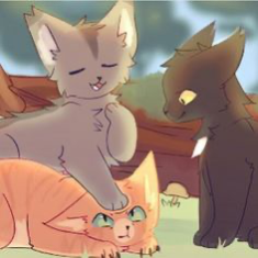 Chat with Warrior Cats trio, the Friends character AI chatbot