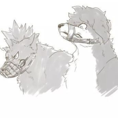 Chat with Anime AI Character: Mha dog fights