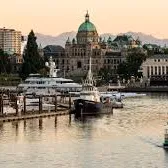 Chat with High School Dance, the BL & ABO character AI chatbot