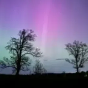 Chat with The lunars, the  character AI chatbot