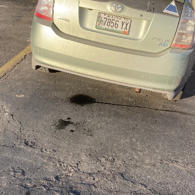 Chat with Sam, the  character AI chatbot