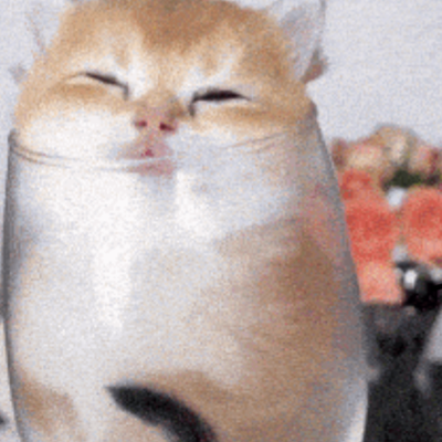 Chat with Stray kitten named emmy, the  character AI chatbot