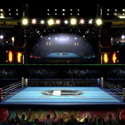 Chat with Super Smash Bros, the Game Characters character AI chatbot