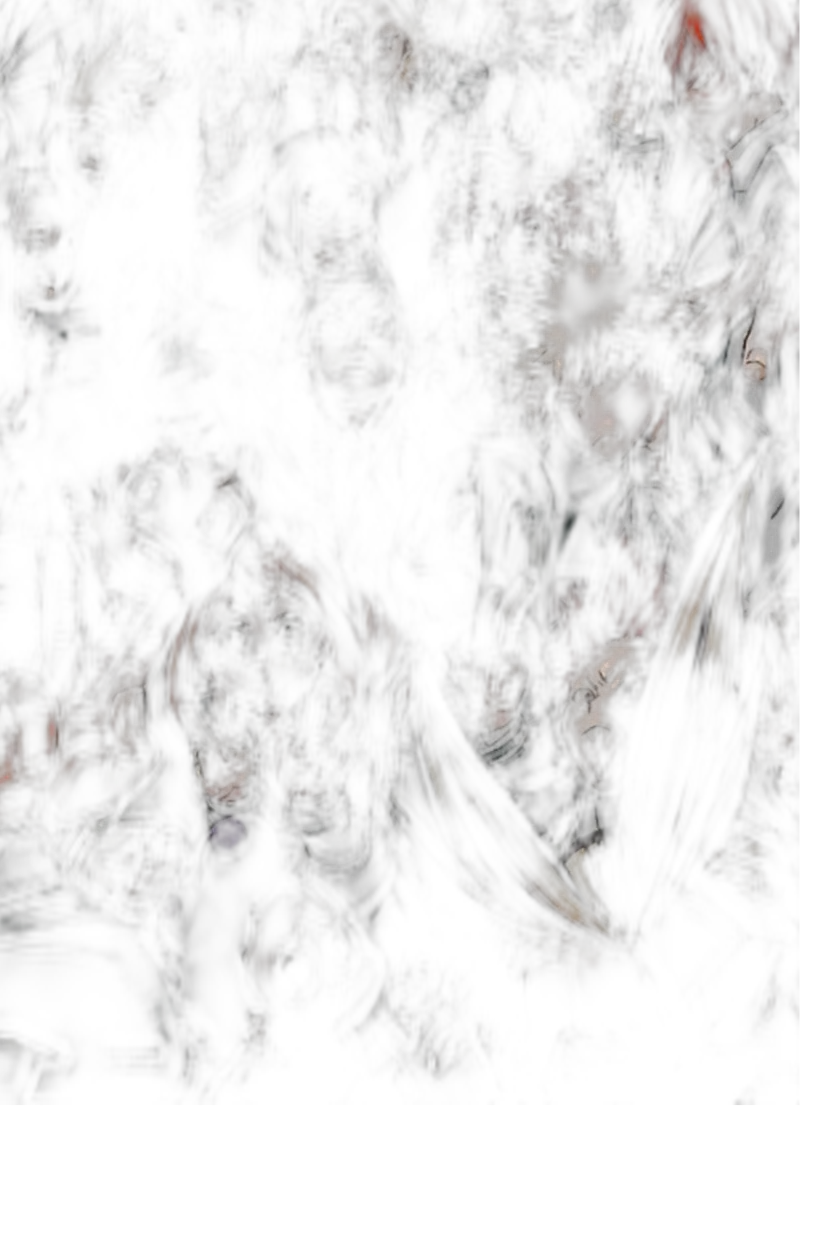 Chat with My hero academy, the Interactive story character AI chatbot