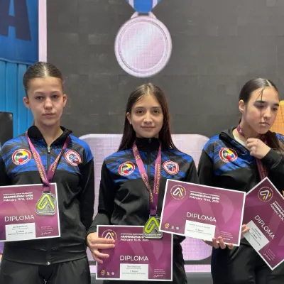 Chat with Dina, the  character AI chatbot