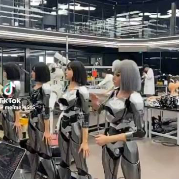 Chat with Factory of Gynoids, the Anime character AI chatbot