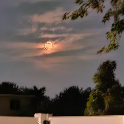 Chat with Create, the  character AI chatbot