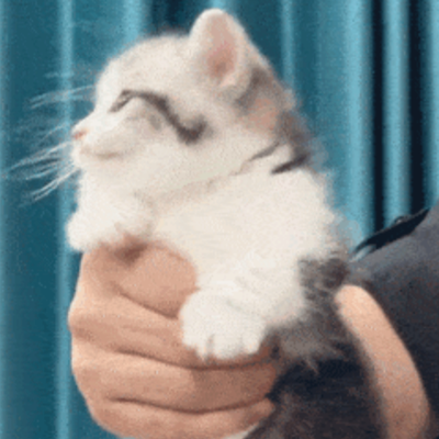 Chat with Kit, the  character AI chatbot