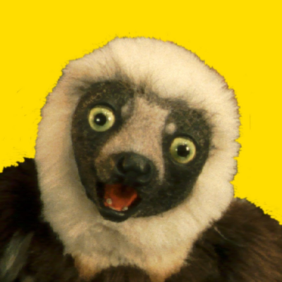Chat with Zoboomafoo, the Anime character AI chatbot