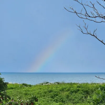 Chat with Create, the  character AI chatbot