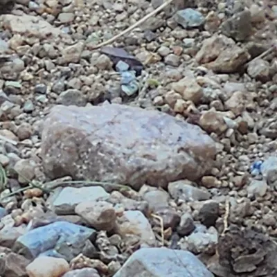 Chat with Rock, the Anime character AI chatbot